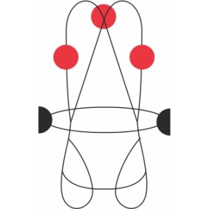 VERTICAL 2 PLUS - HARNAIS COMPLET