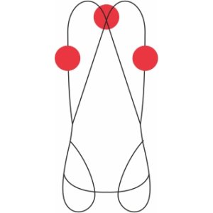 VERTICAL 2 - HARNAIS COMPLET